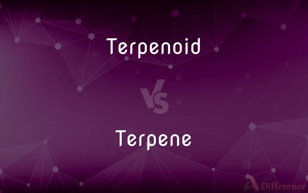 Terpenoid vs. Terpene — What's the Difference?