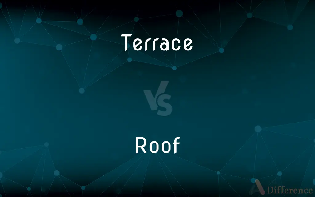 Terrace vs. Roof — What's the Difference?