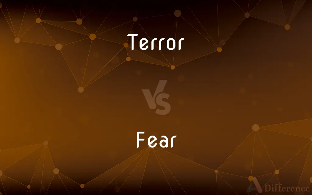 Terror vs. Fear — What's the Difference?