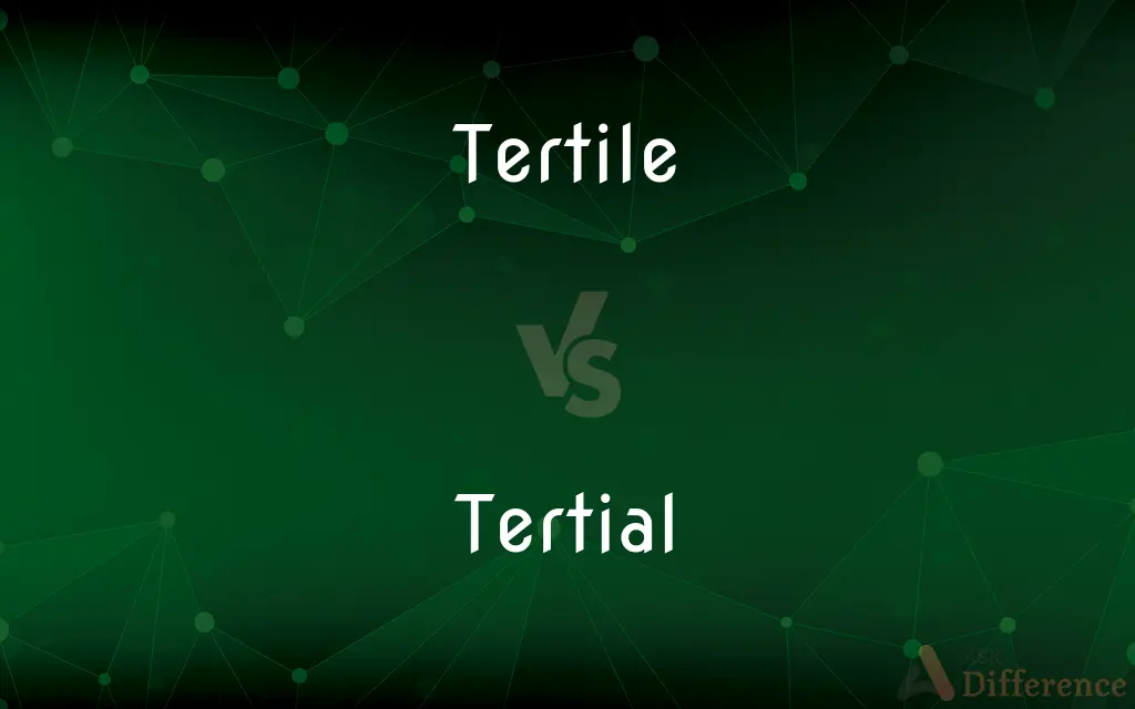 Tertile vs. Tertial — What's the Difference?