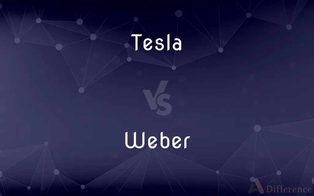 Tesla vs. Weber — What's the Difference?