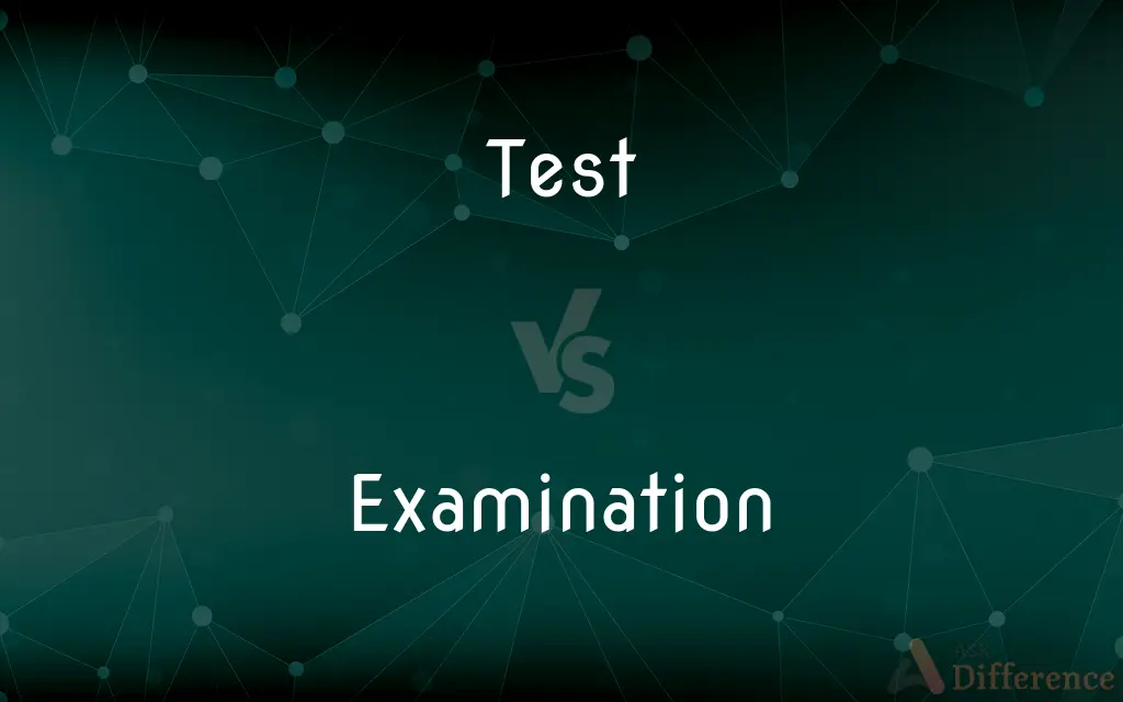 Test vs. Examination — What's the Difference?