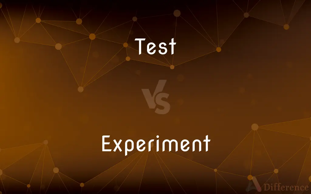 Test vs. Experiment — What's the Difference?