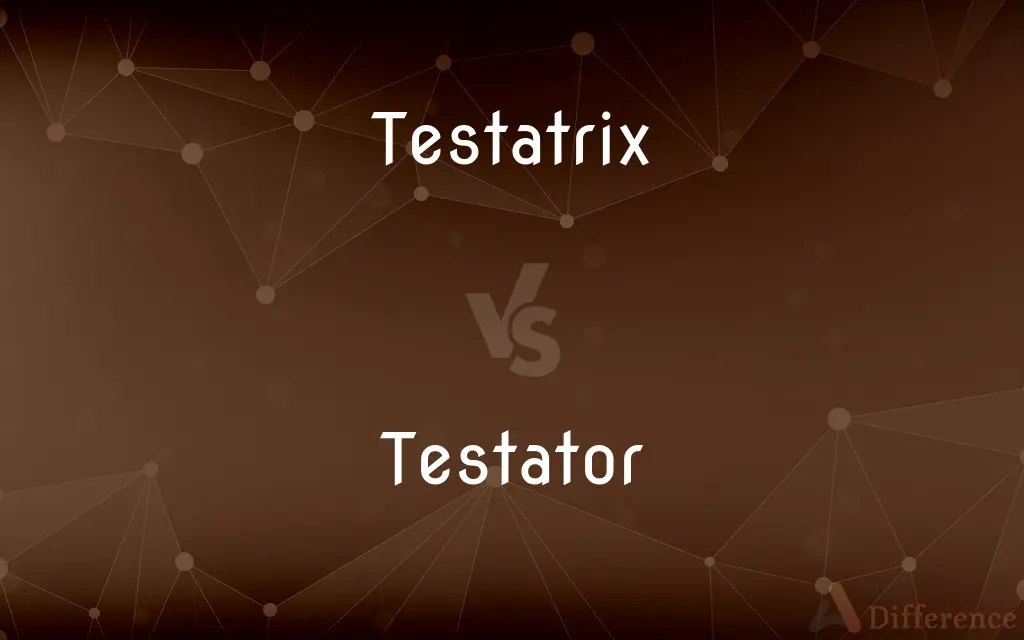 Testatrix vs. Testator — What's the Difference?