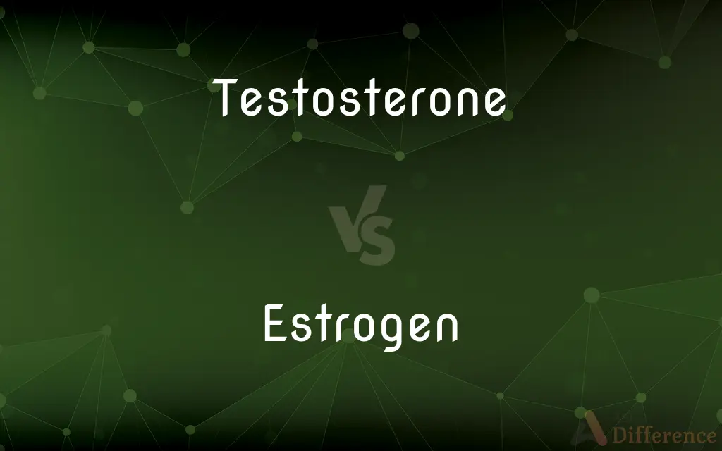 Testosterone vs. Estrogen — What's the Difference?