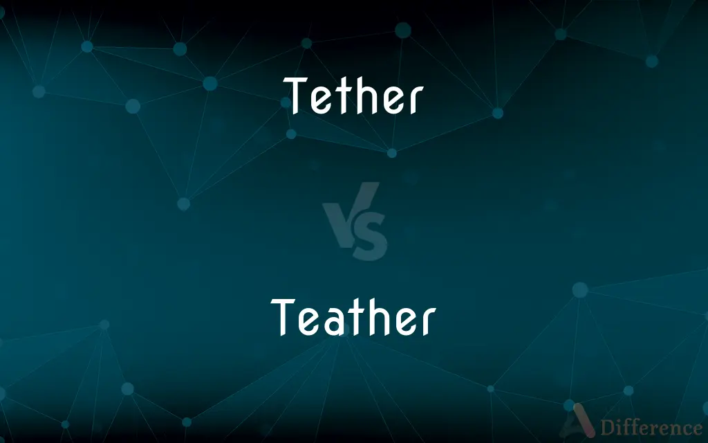 Tether vs. Teather — What's the Difference?