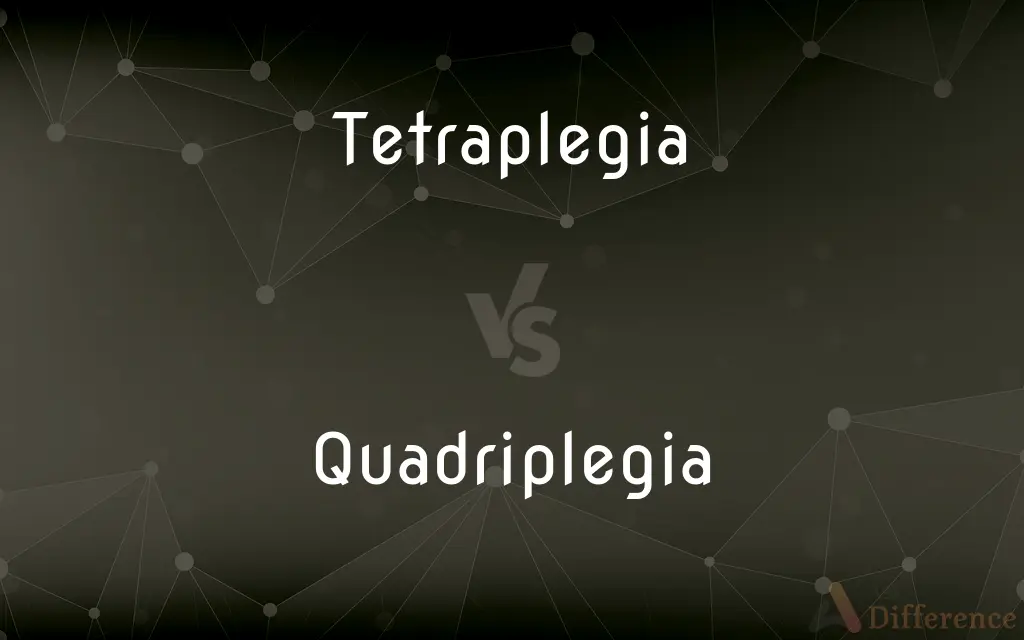 Tetraplegia vs. Quadriplegia — What's the Difference?