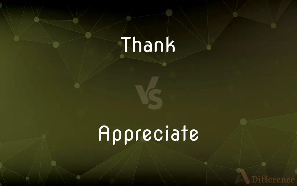 Thank vs. Appreciate — What's the Difference?