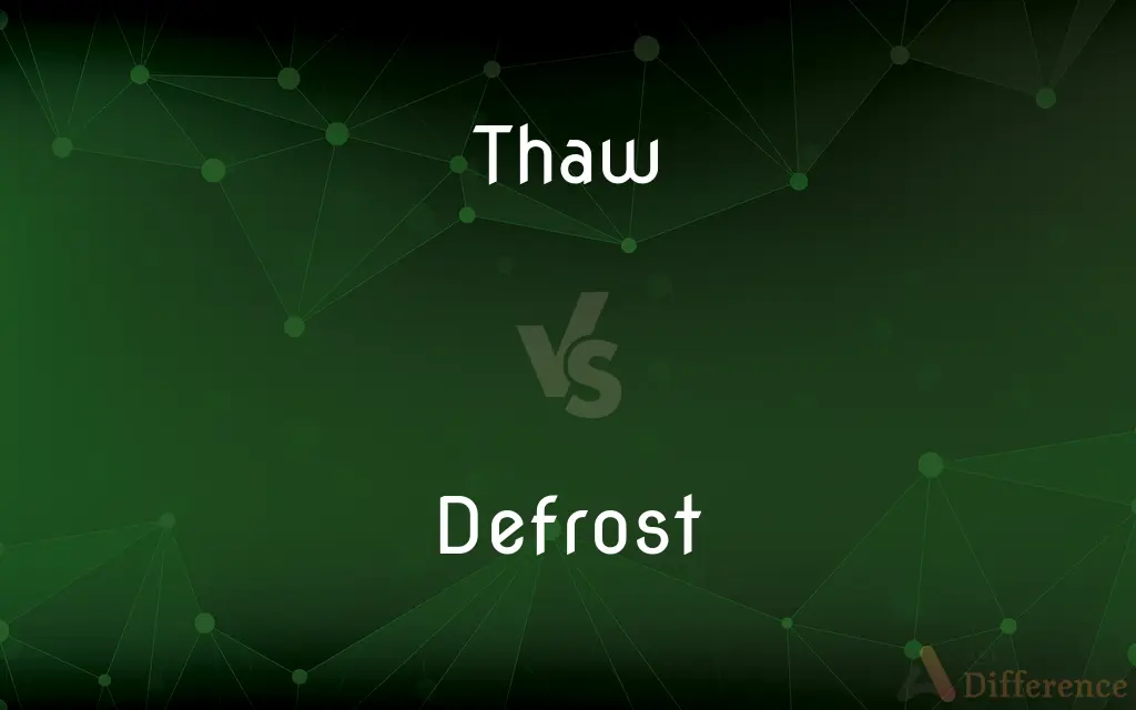 Thaw vs. Defrost — What's the Difference?