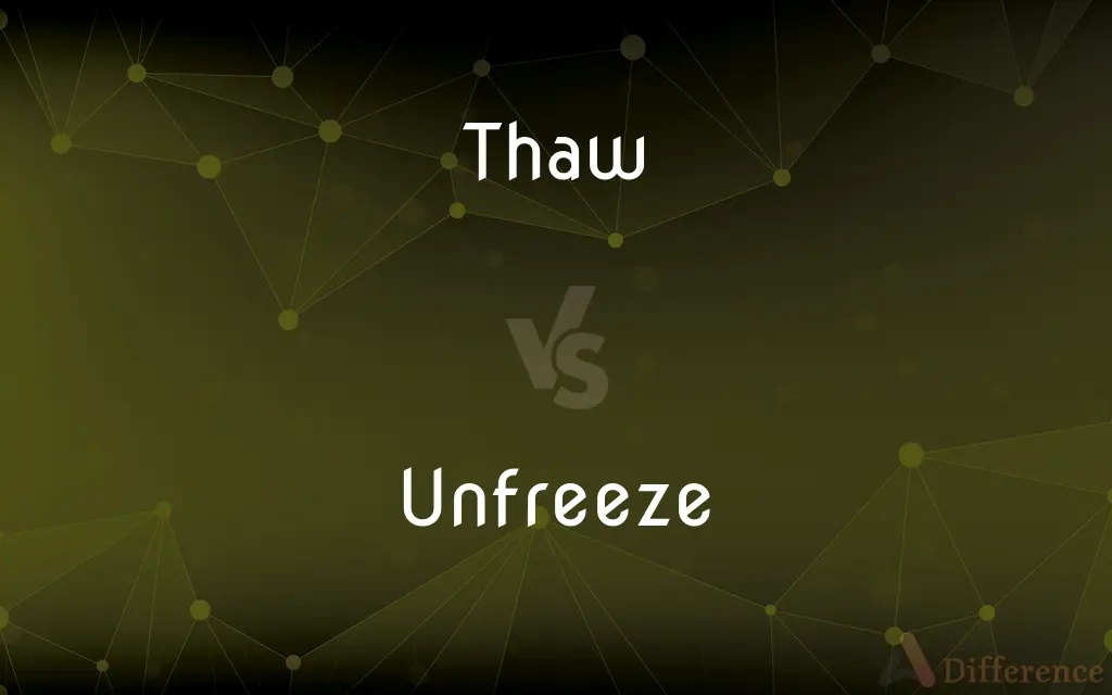 Thaw vs. Unfreeze — What's the Difference?