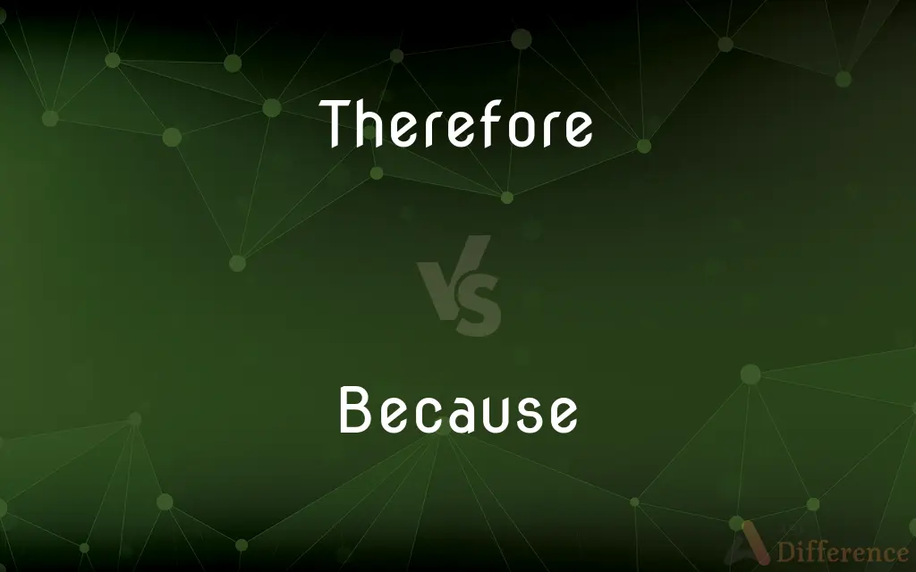 Therefore vs. Because — What's the Difference?