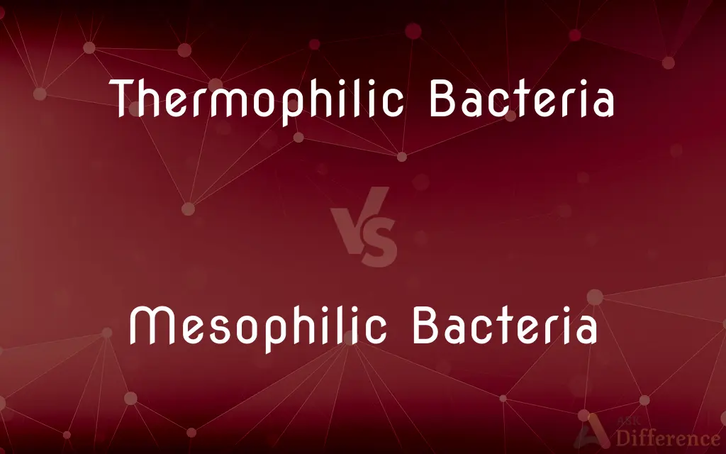 Thermophilic Bacteria vs. Mesophilic Bacteria — What's the Difference?