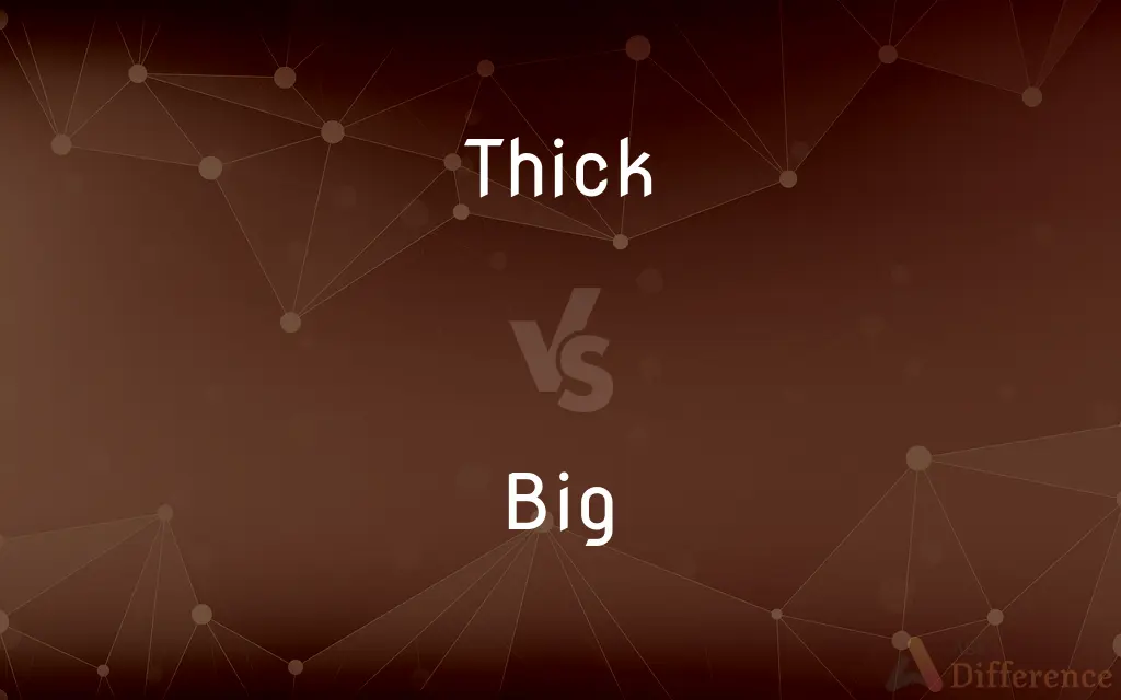Thick vs. Big — What's the Difference?