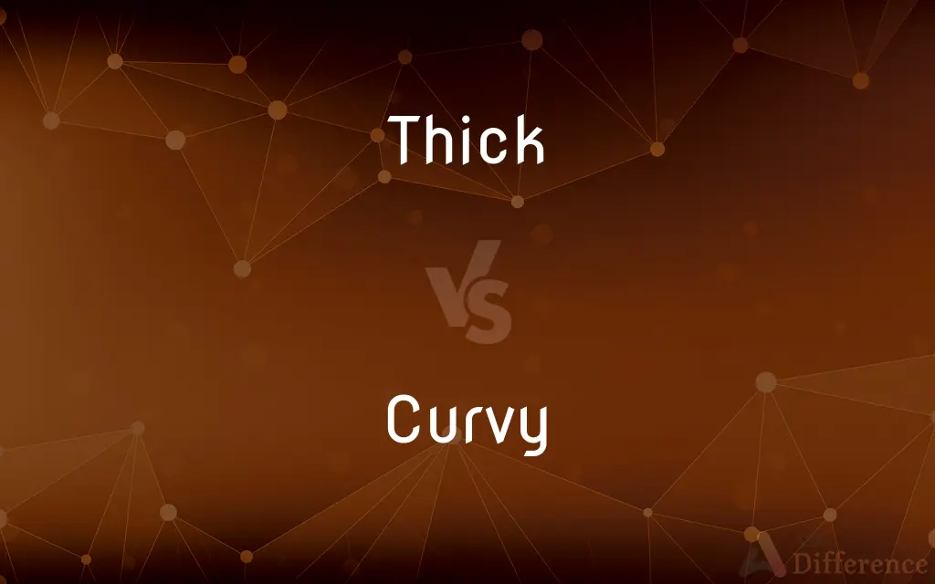 Thick vs. Curvy — What's the Difference?