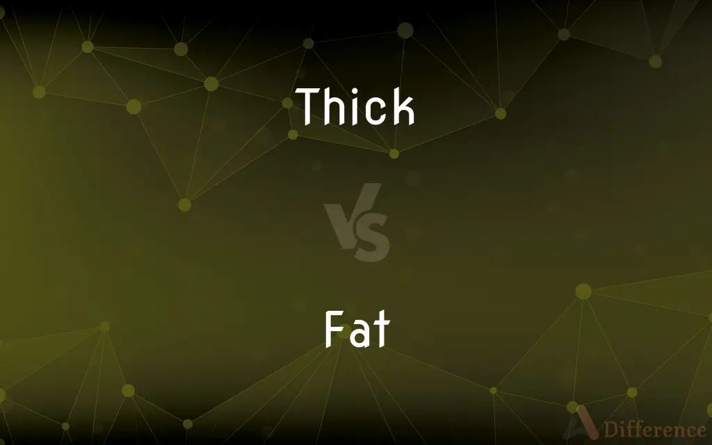 Thick vs. Fat — What's the Difference?