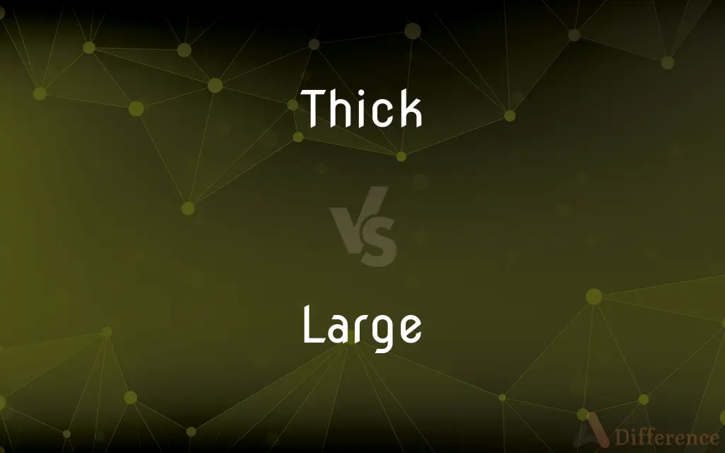 Thick vs. Large — What's the Difference?