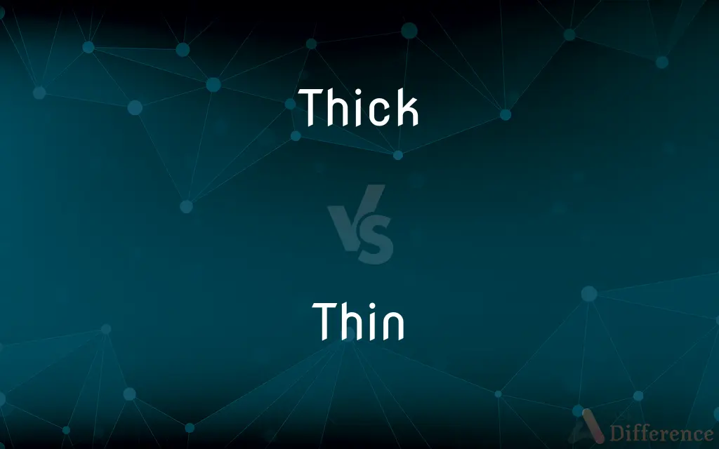Thick vs. Thin — What's the Difference?