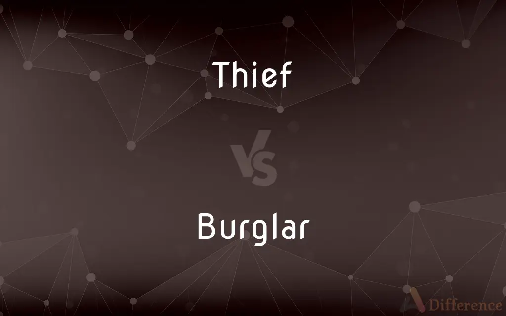 Thief vs. Burglar — What's the Difference?