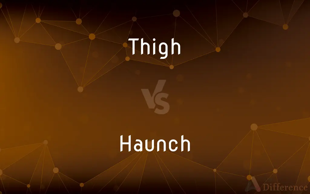 Thigh vs. Haunch — What's the Difference?