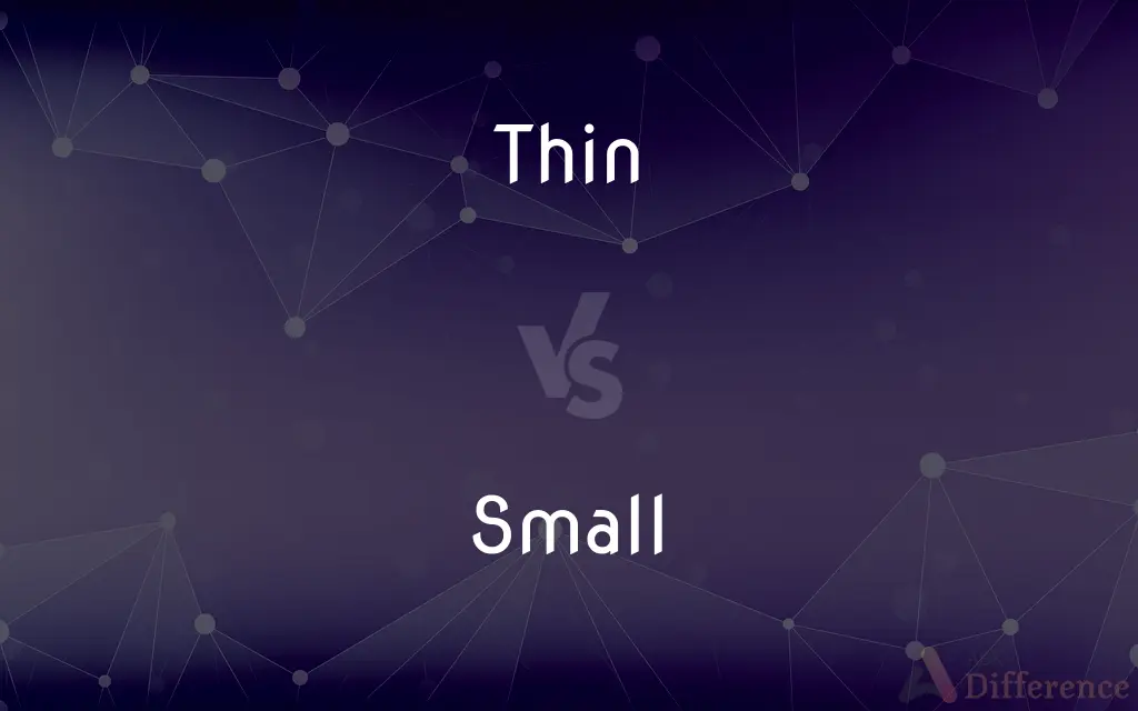 Thin vs. Small — What's the Difference?