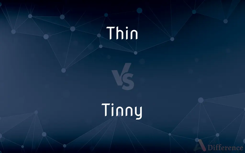 Thin vs. Tinny — What's the Difference?
