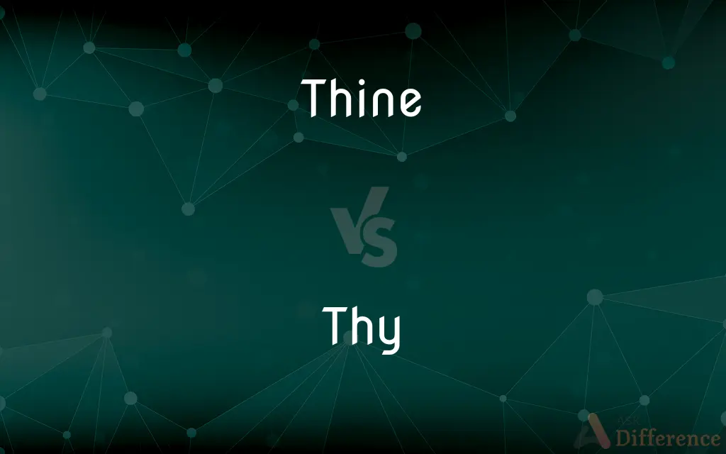 Thine vs. Thy — What's the Difference?
