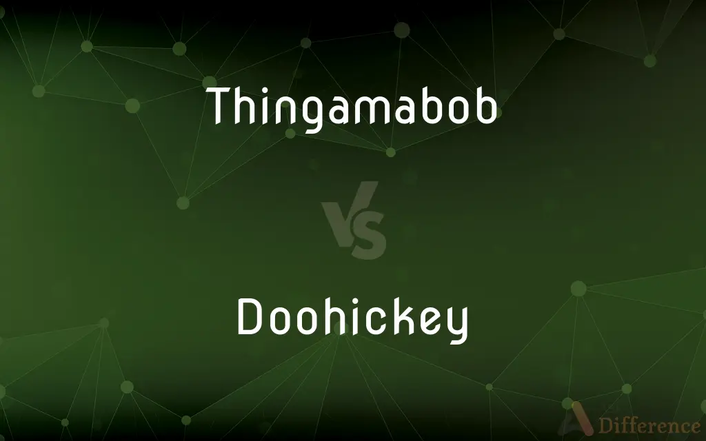 Thingamabob vs. Doohickey — What's the Difference?