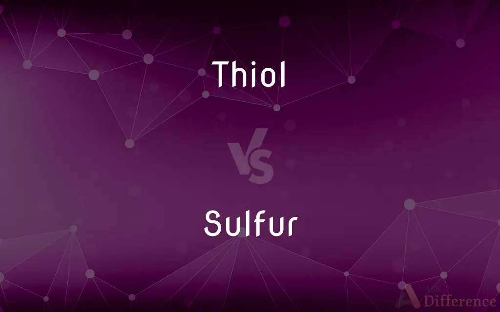 Thiol vs. Sulfur — What's the Difference?