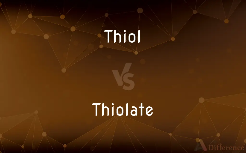 Thiol vs. Thiolate — What's the Difference?