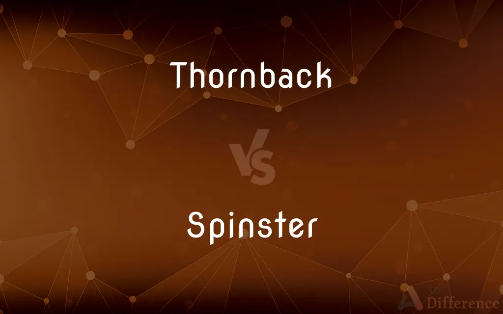 Thornback vs. Spinster — What's the Difference?
