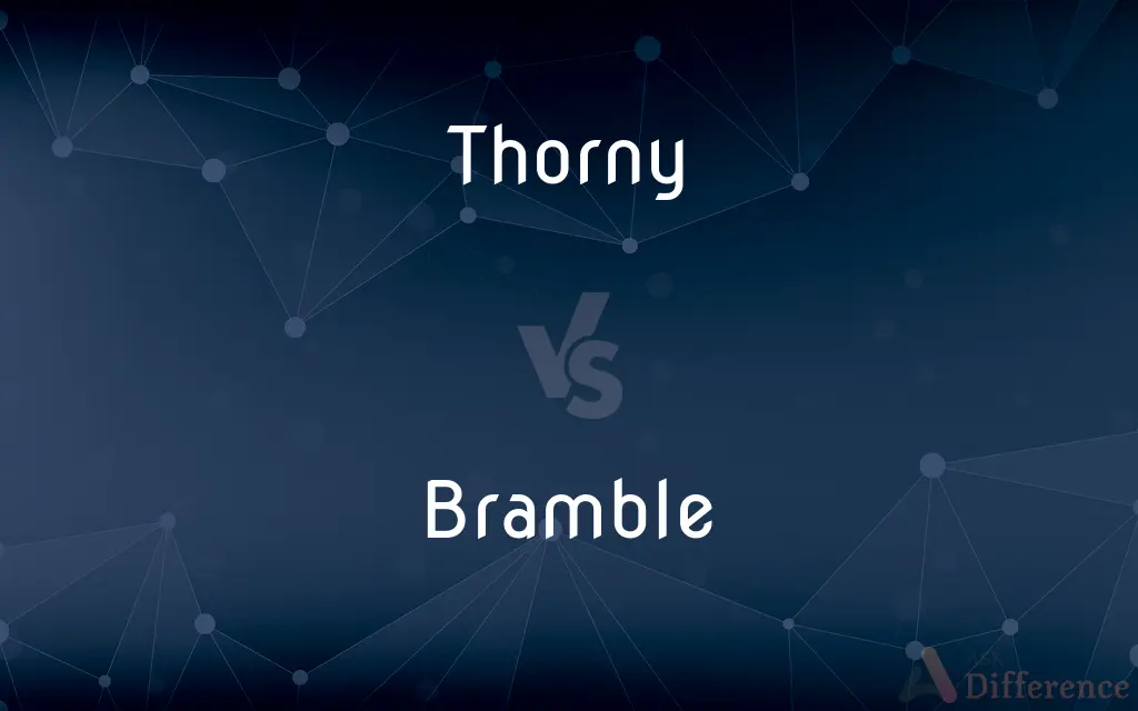 Thorny vs. Bramble — What's the Difference?