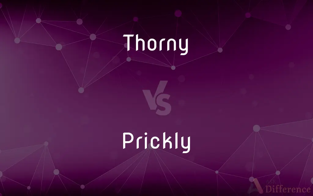 Thorny vs. Prickly — What's the Difference?