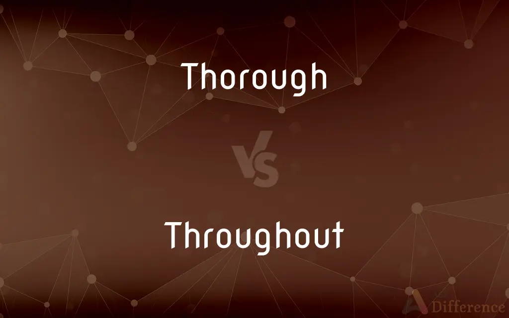 Thorough vs. Throughout — What's the Difference?