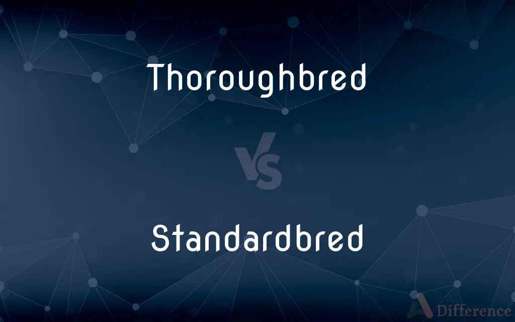 Thoroughbred vs. Standardbred — What's the Difference?