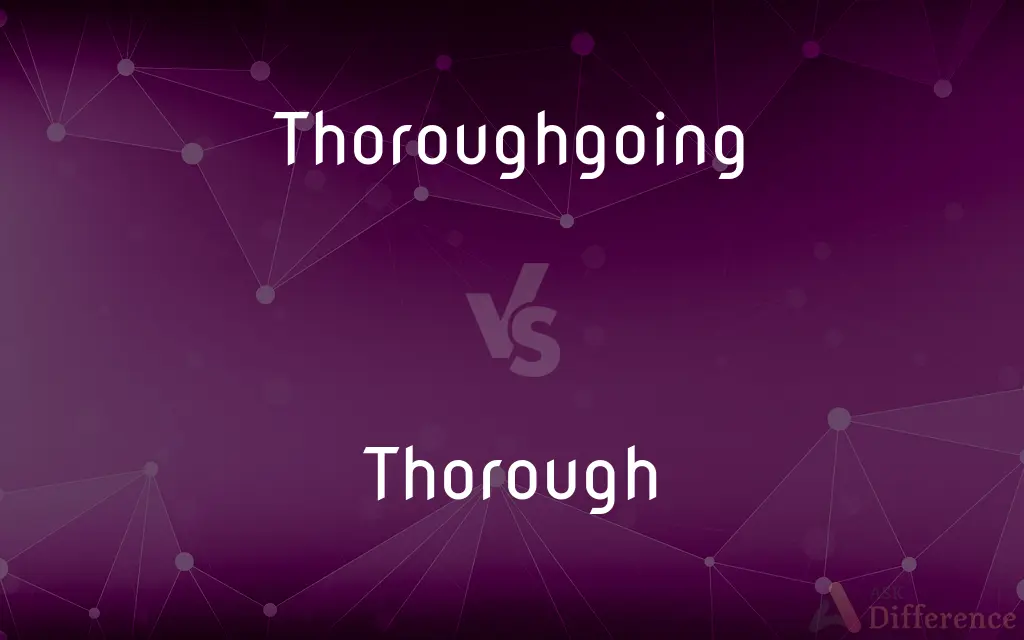 Thoroughgoing vs. Thorough — What's the Difference?