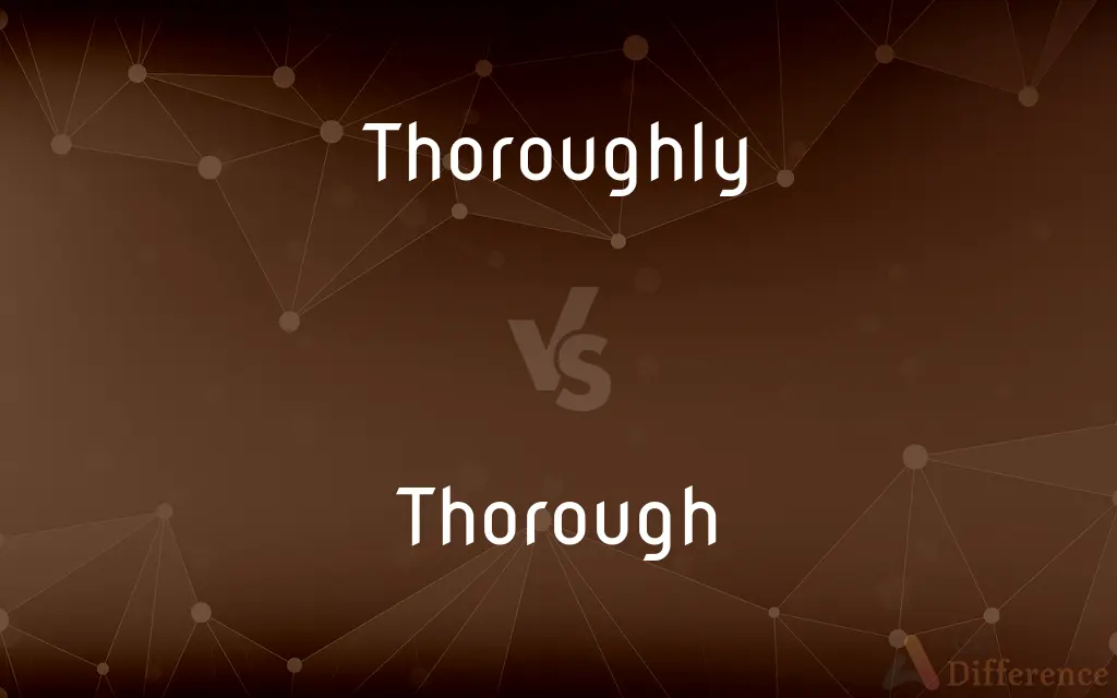 Thoroughly vs. Thorough — What's the Difference?