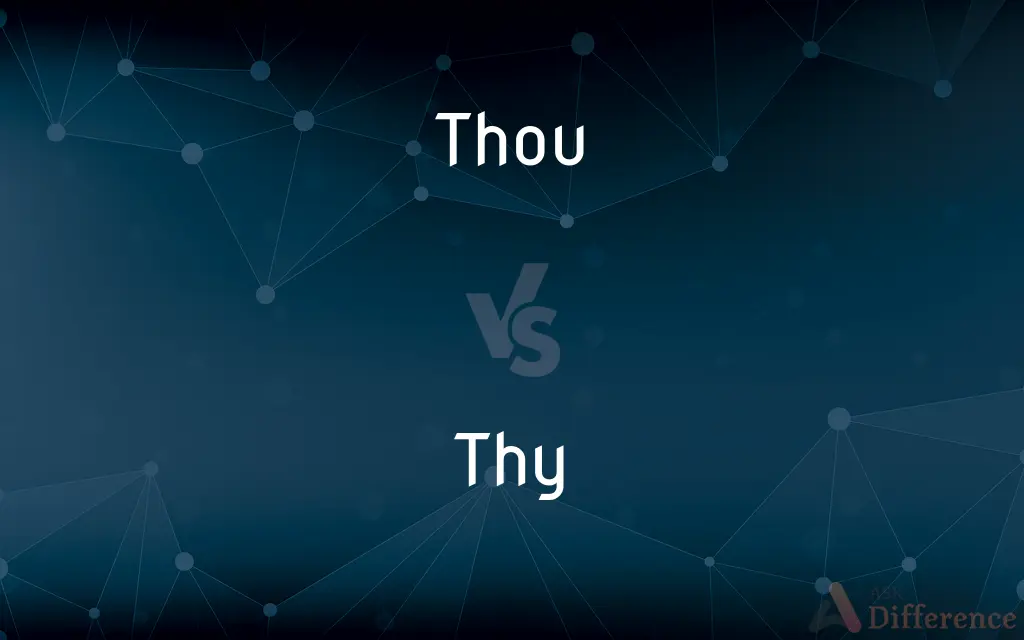 Thou vs. Thy — What's the Difference?
