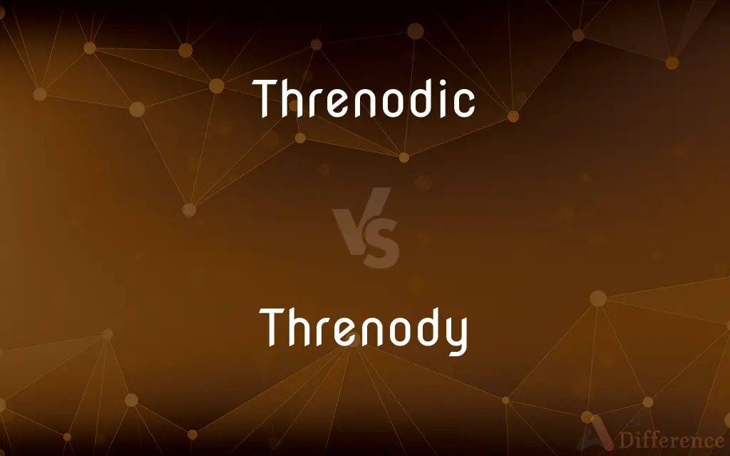 Threnodic vs. Threnody — What's the Difference?