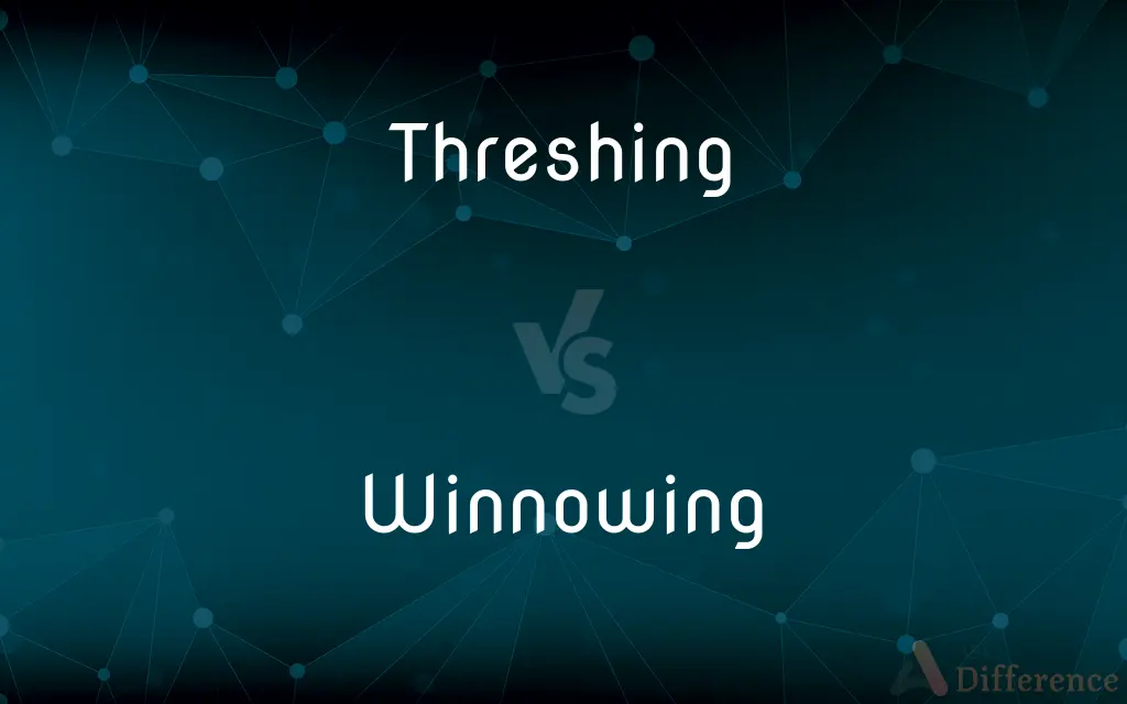 Threshing vs. Winnowing — What's the Difference?