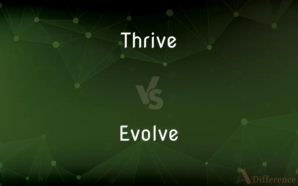Thrive vs. Evolve — What's the Difference?