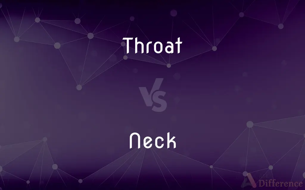 Throat vs. Neck — What's the Difference?