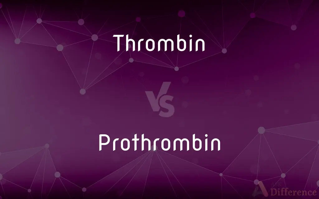 Thrombin vs. Prothrombin — What's the Difference?