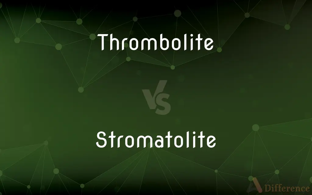 Thrombolite vs. Stromatolite — What's the Difference?