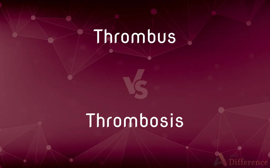 Thrombus vs. Thrombosis — What's the Difference?