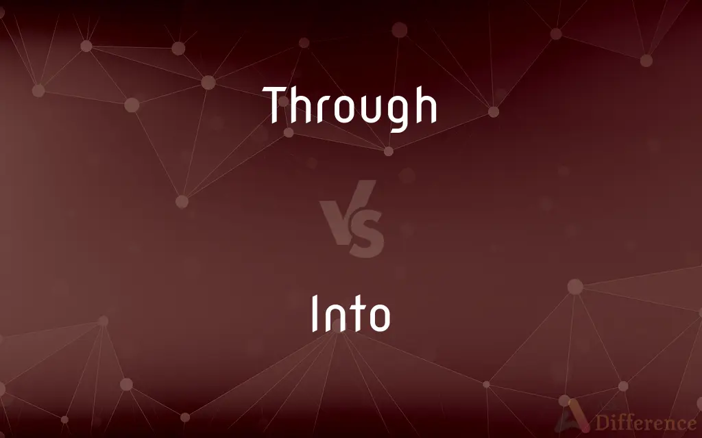 Through vs. Into — What's the Difference?