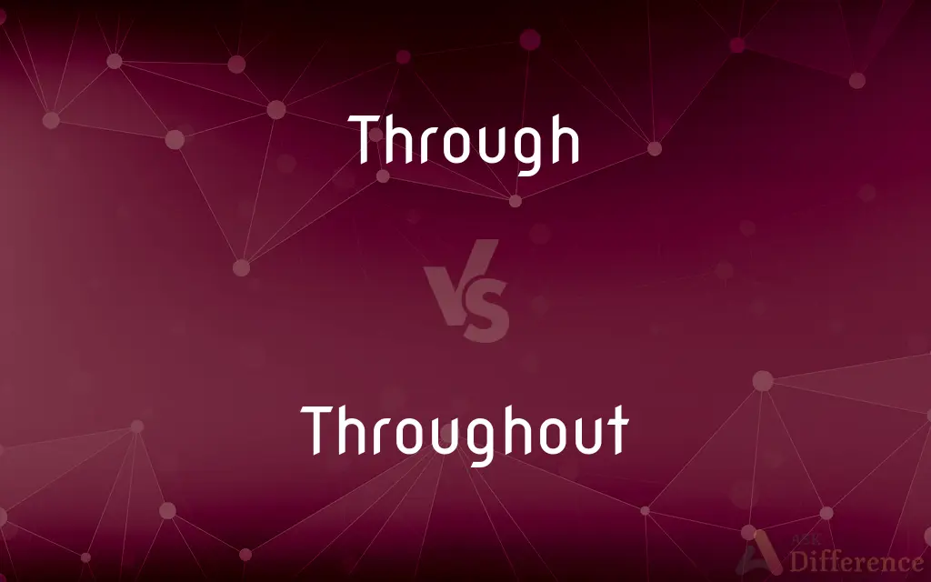 Through vs. Throughout — What's the Difference?