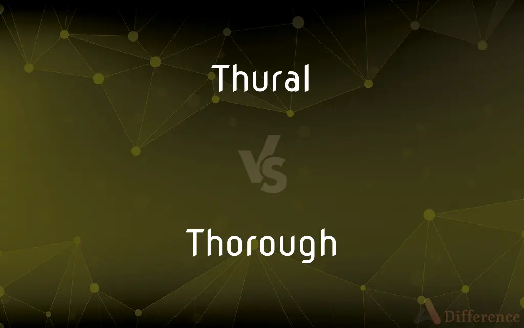 Thural vs. Thorough — Which is Correct Spelling?