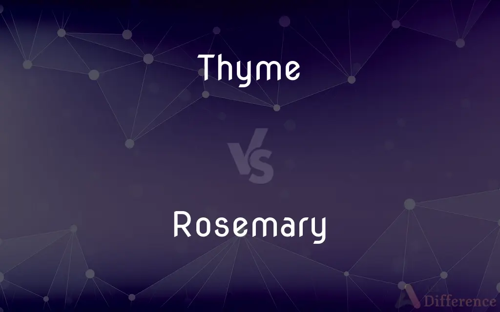 Thyme vs. Rosemary — What's the Difference?