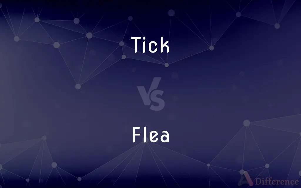 Tick vs. Flea — What's the Difference?