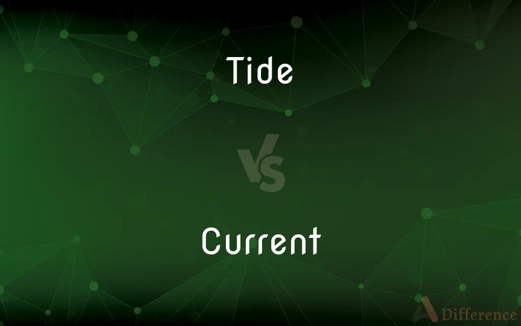 Tide vs. Current — What's the Difference?